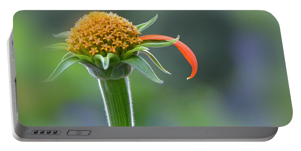 Flower Portable Battery Charger featuring the photograph He Loves Me by Carolyn Mickulas