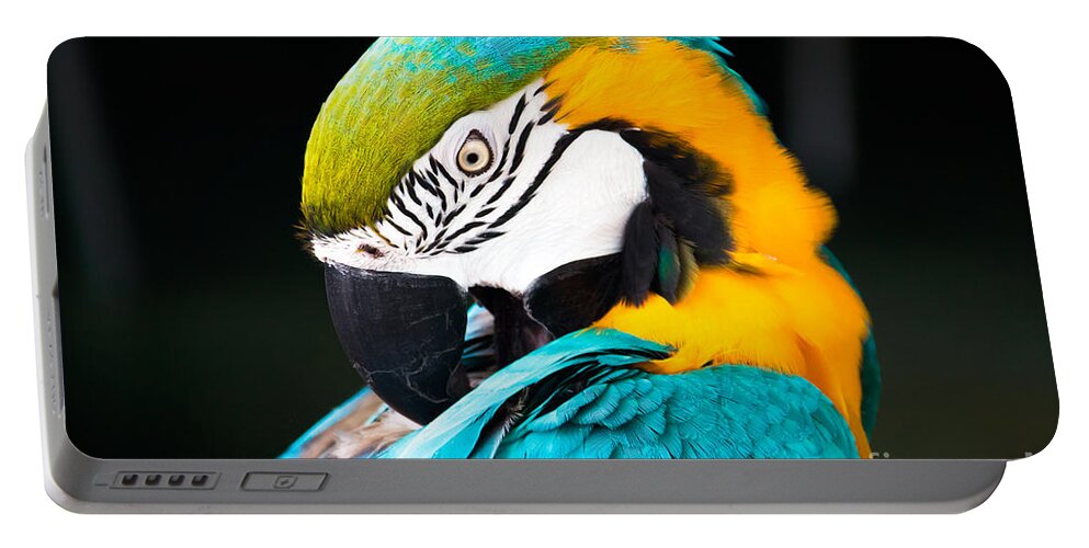 Animal Portable Battery Charger featuring the photograph Head of parrot by Amanda Mohler