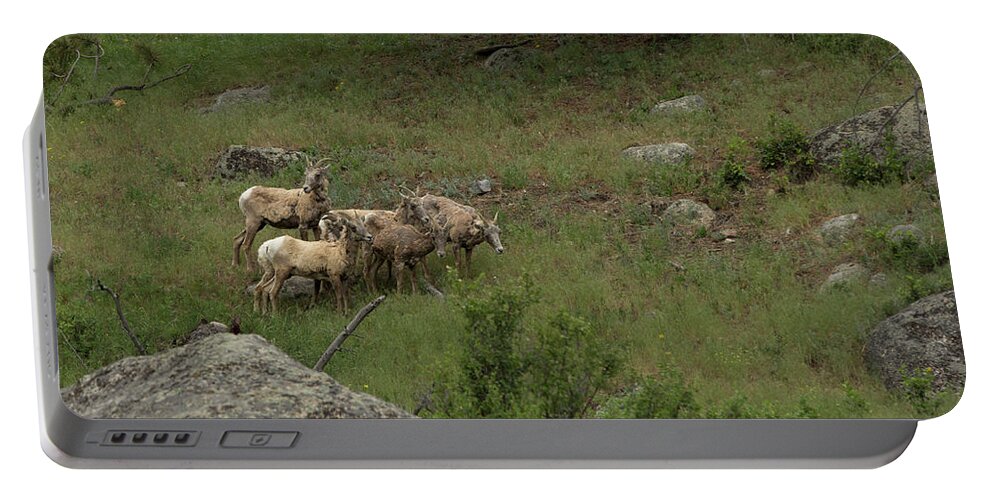 Rocky Portable Battery Charger featuring the photograph Hearding Goats by Sean Allen