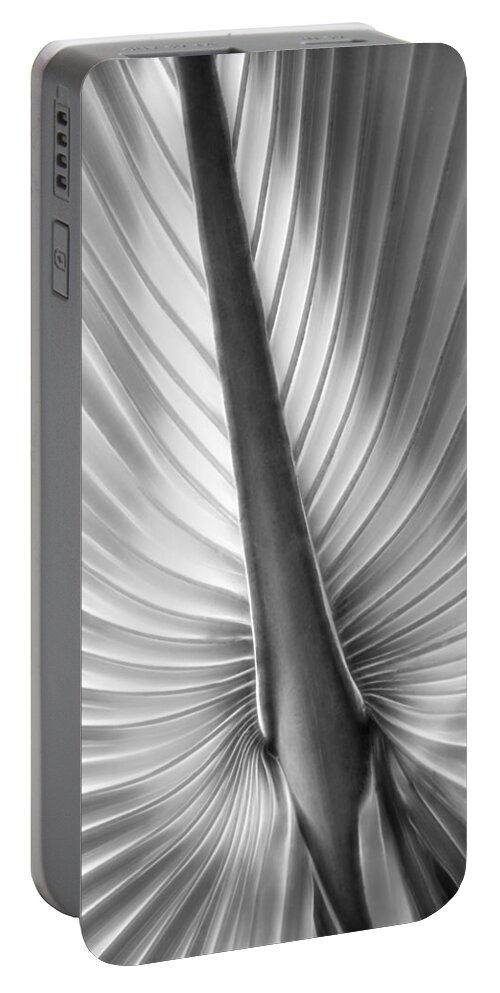 Palm Portable Battery Charger featuring the photograph Heart of Palm by Mitch Spence