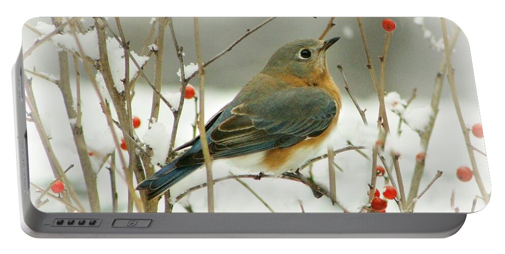 Bird Portable Battery Charger featuring the photograph Hearts Desire by Barbara S Nickerson