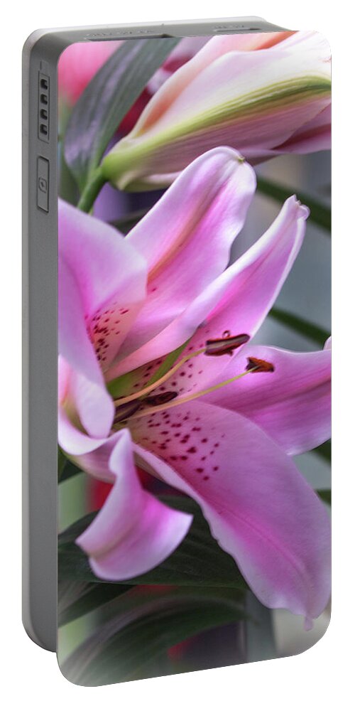 Lily Portable Battery Charger featuring the photograph Heavenly Pink Lily by Carol Senske