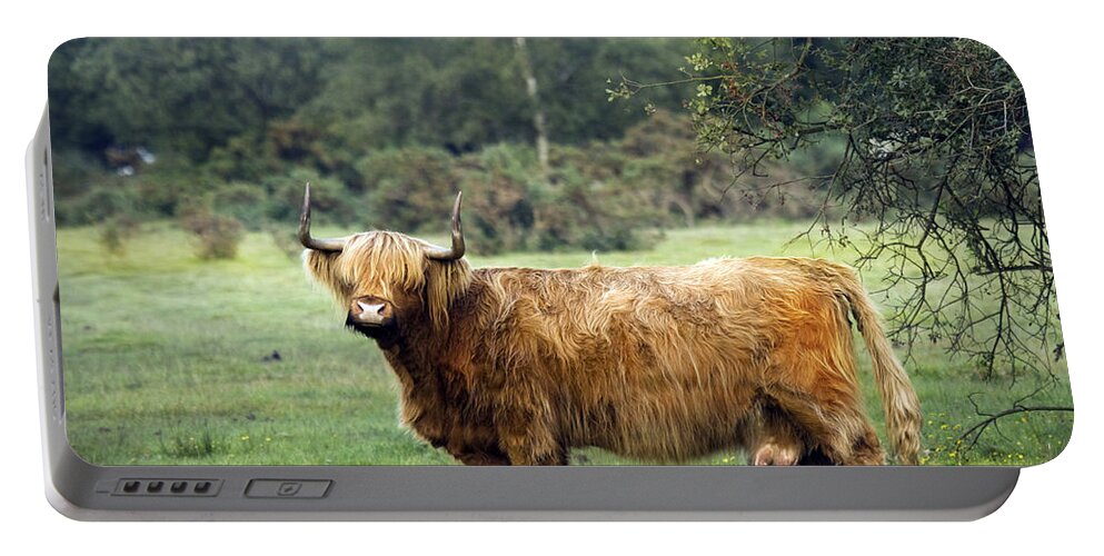 Heilan Coo Portable Battery Charger featuring the photograph Heilan Coo by Ang El