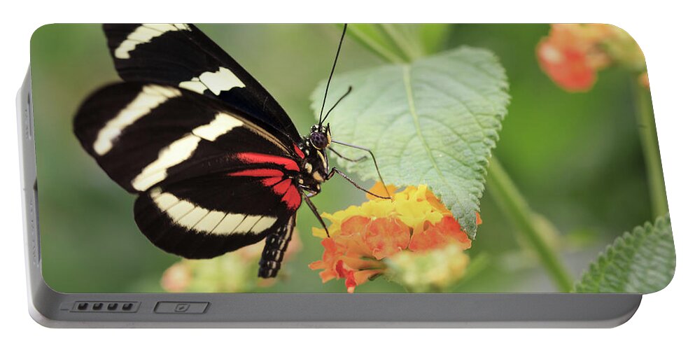 Red Portable Battery Charger featuring the photograph Heliconius Melpomene Butterfly by Tim Abeln