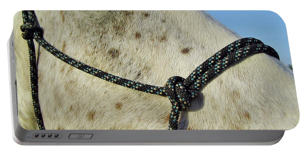 Horse Portable Battery Charger featuring the photograph Hello Leopard Appaloosa by D Hackett