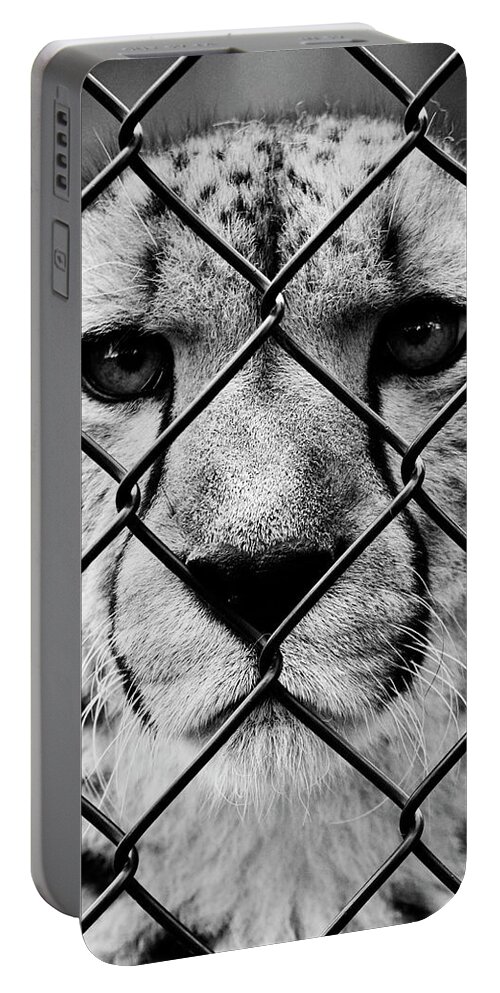 Animal Portable Battery Charger featuring the photograph Her teeth she would kill by J C