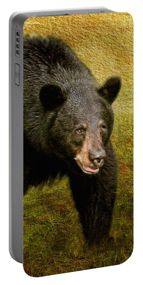 Here Comes Trouble Portable Battery Charger featuring the photograph Here Comes Trouble by Lois Bryan