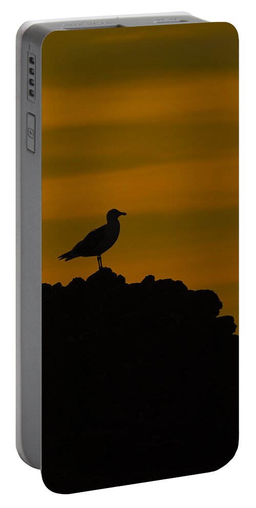 Seagull Portable Battery Charger featuring the photograph Hero by Jill Reger