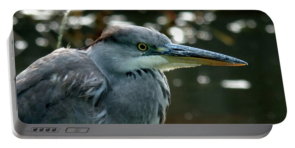 Bird Portable Battery Charger featuring the photograph Herons Looking At You Kid by Baggieoldboy