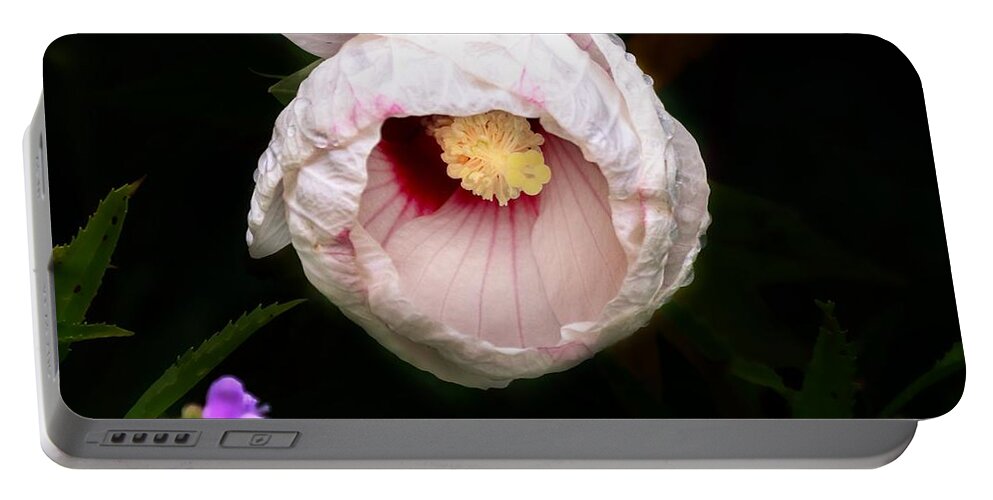 Hibiscus Portable Battery Charger featuring the photograph Hibiscus in bloom by Jackson Pearson