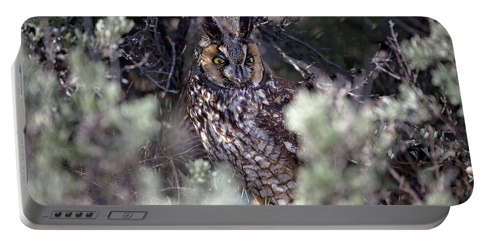 Owl Portable Battery Charger featuring the photograph Hide and Seek by Eilish Palmer