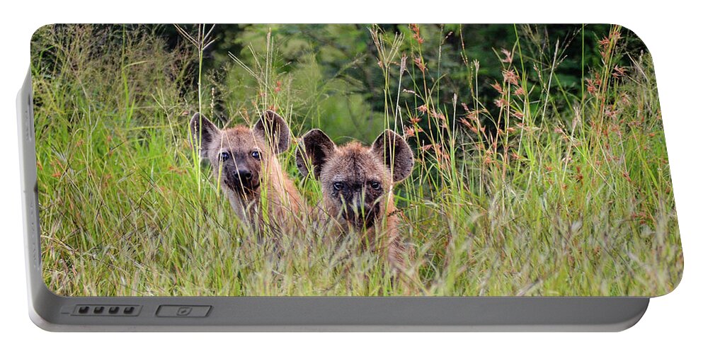 Hyena Portable Battery Charger featuring the photograph Hide-n-Seek Hyenas by Gaelyn Olmsted