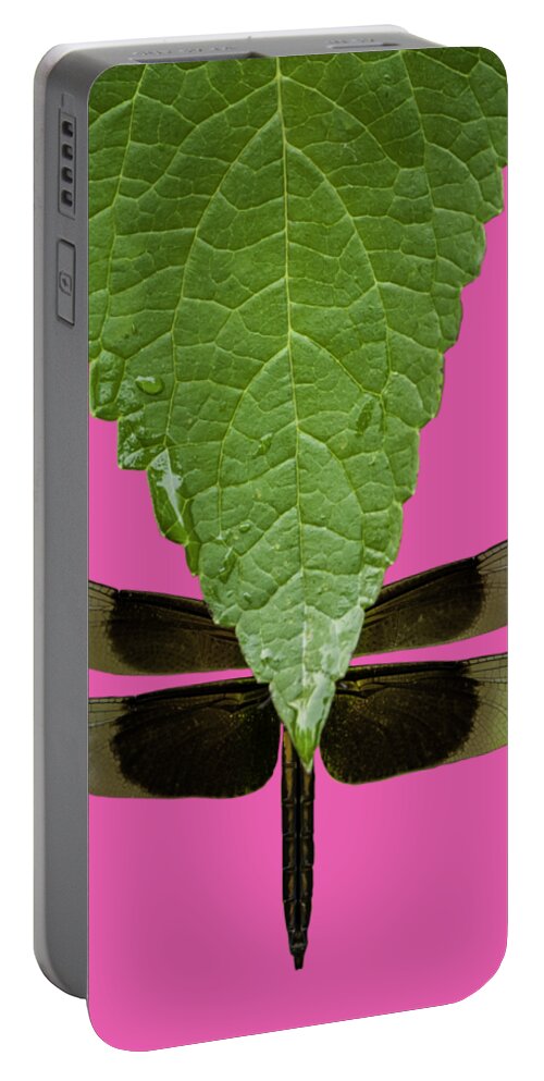 Johnson County Portable Battery Charger featuring the photograph Hiding Dragons by Jeff Phillippi