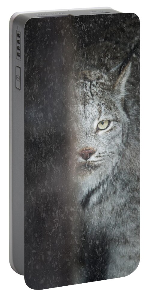 Animals Portable Battery Charger featuring the photograph Hiding Lynx by Rikk Flohr