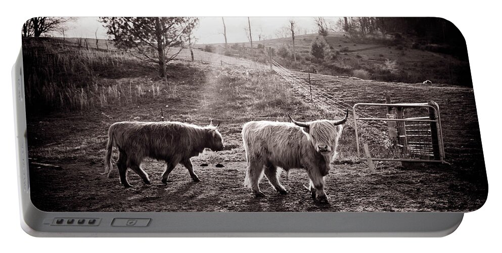 Highland Cattle Portable Battery Charger featuring the photograph Highland Cattle by Cynthia Wolfe