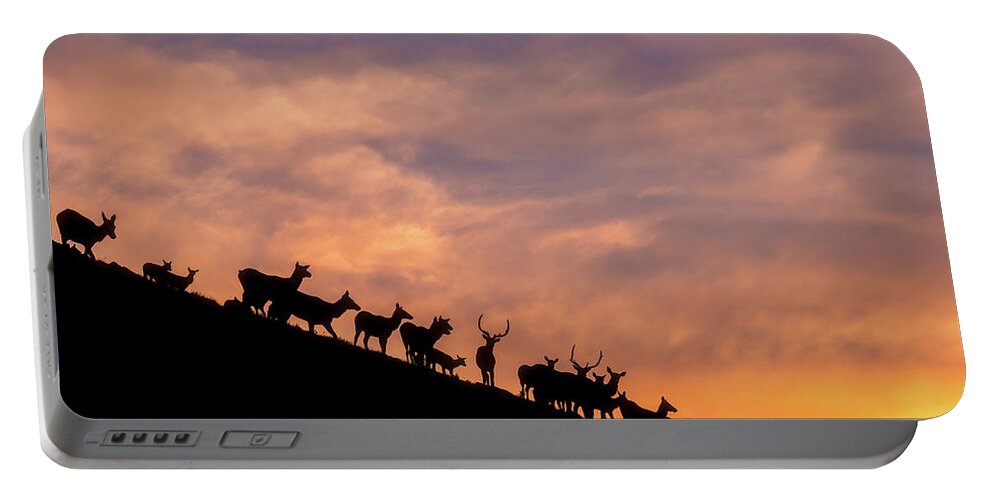 Elk Portable Battery Charger featuring the photograph Hillside Elk by Darren White