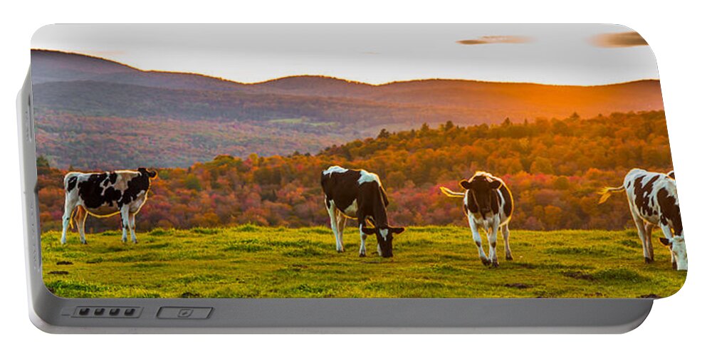 Cows Portable Battery Charger featuring the photograph Hilltop Herd by Tim Kirchoff