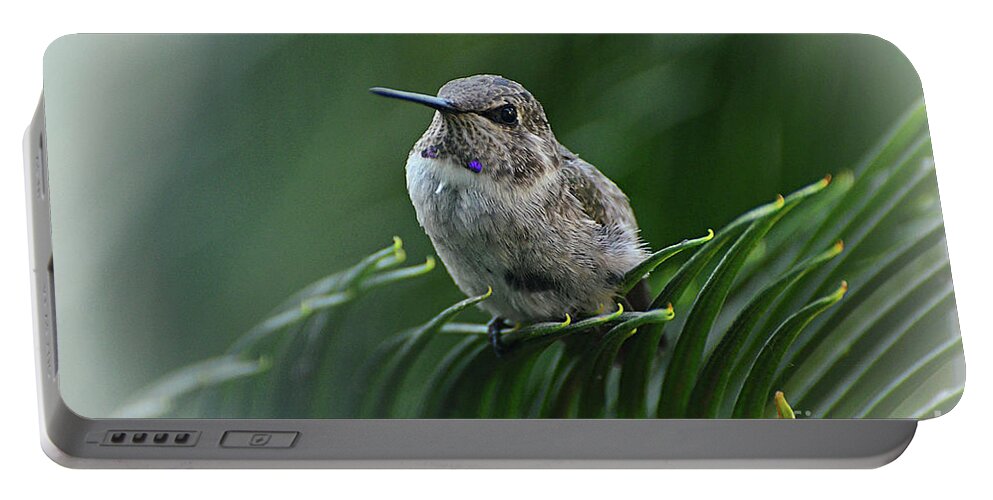 Sago Palm Portable Battery Charger featuring the photograph Hint of Purple by Debby Pueschel