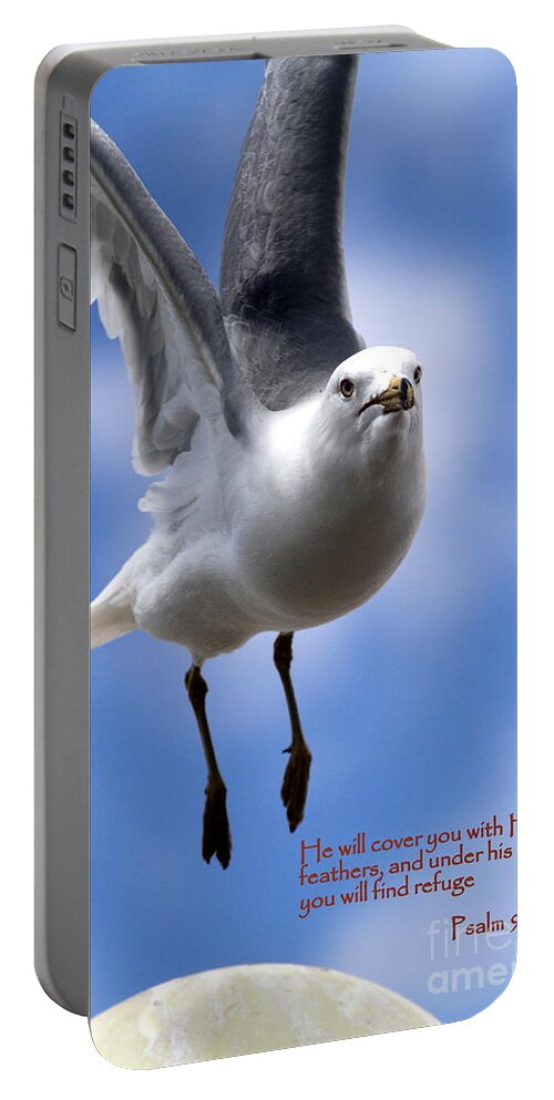 Seagull Portable Battery Charger featuring the photograph His Feathers by Rick Rauzi