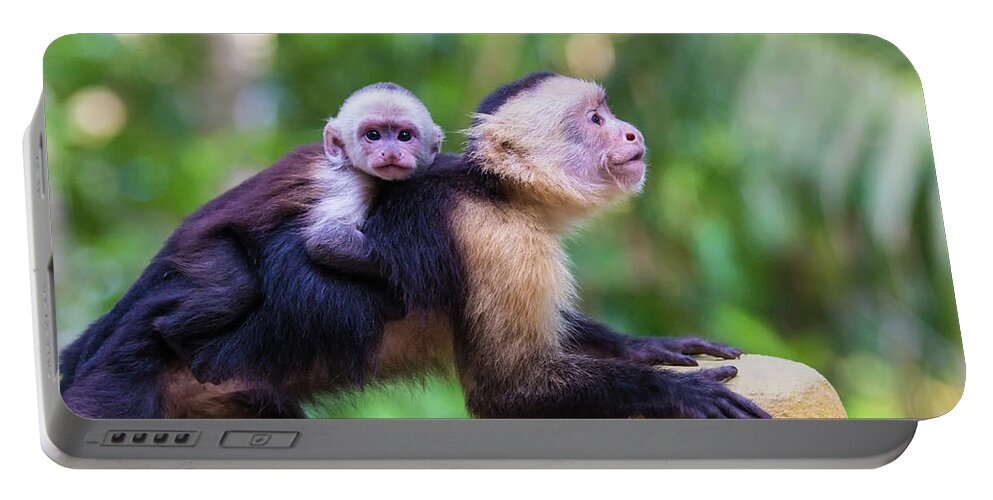 Costa Rica Portable Battery Charger featuring the photograph Hitching a Ride by Dillon Kalkhurst