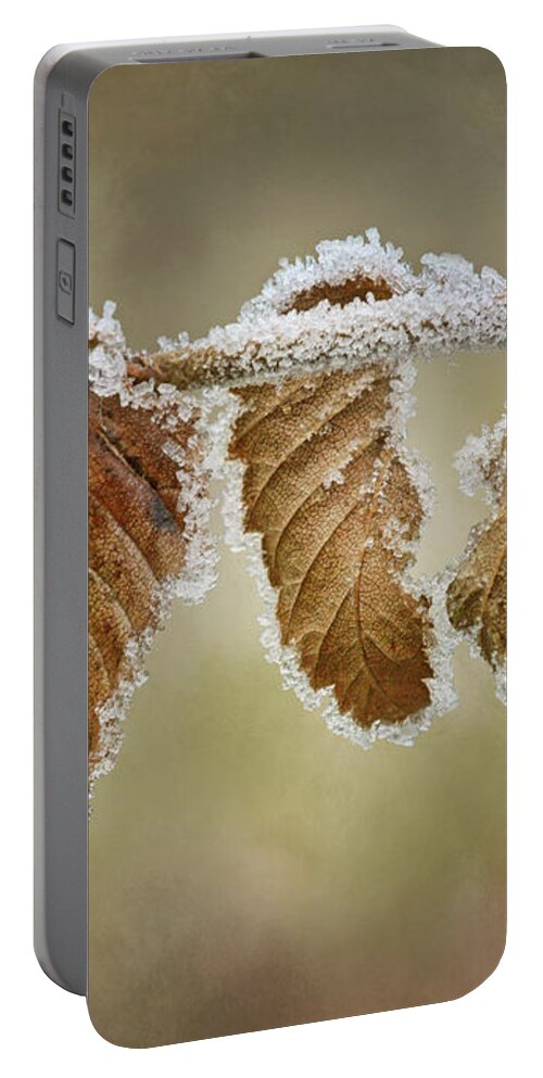 Hoar Frost Portable Battery Charger featuring the photograph Hoar Frost - Leaves by Nikolyn McDonald