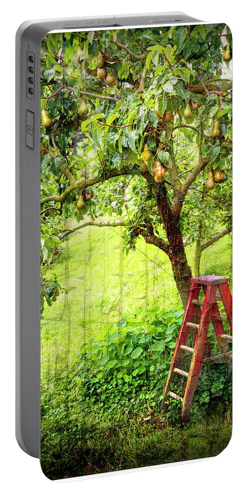 Hobbits Portable Battery Charger featuring the photograph Hobbit Pear Tree by Kathryn McBride