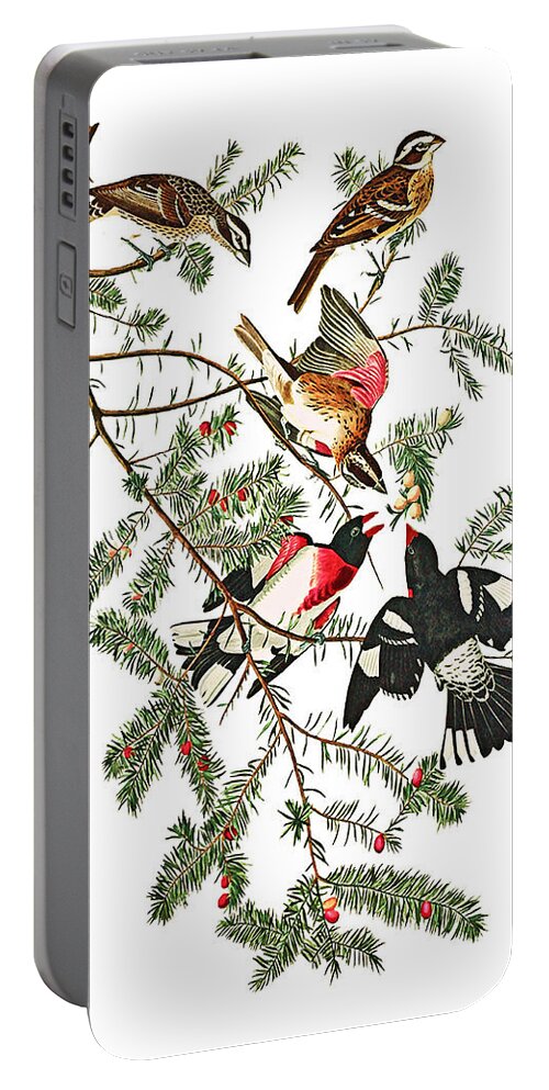 Christmas Portable Battery Charger featuring the photograph Holiday Birds by Munir Alawi