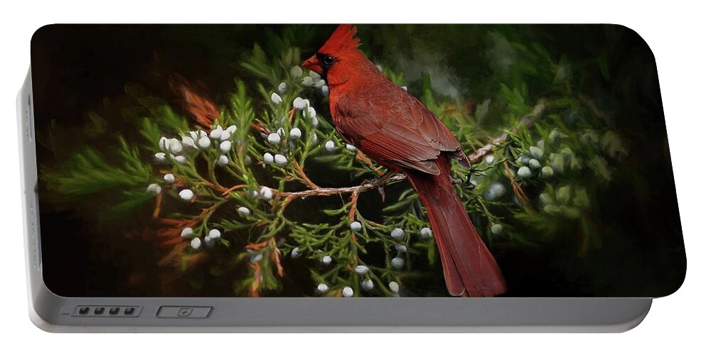 Winter Holiday Portable Battery Charger featuring the photograph Holiday Red Cardinal by TnBackroadsPhotos