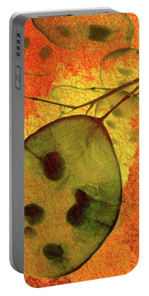 Money Portable Battery Charger featuring the photograph Honesty VII by Char Szabo-Perricelli