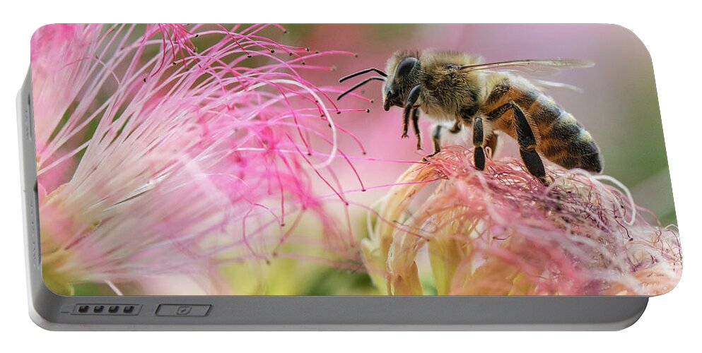 Honey Bee On Mimosa Flowerhoney Bee In The Pink Portable Battery Charger featuring the photograph Honey bee On Mimosa Flower by Mitch Shindelbower