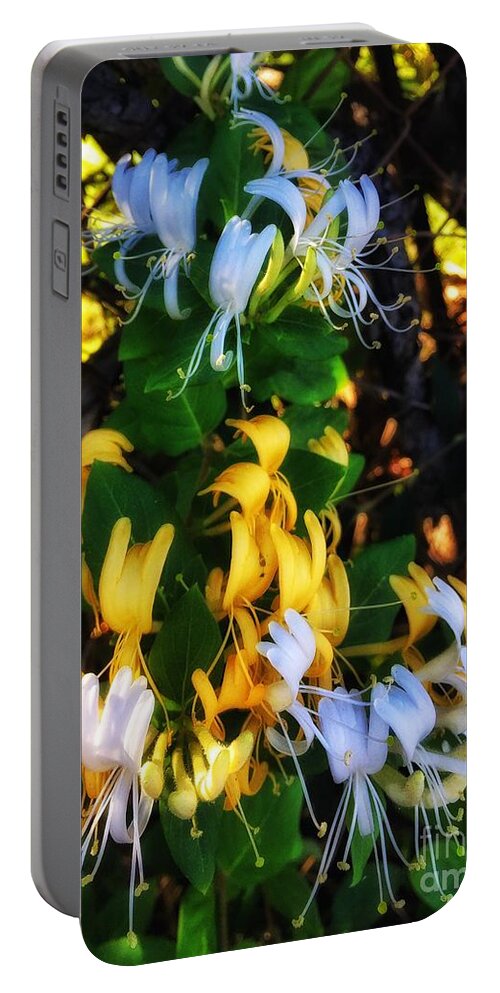 500 Views Portable Battery Charger featuring the photograph Honeysuckle Sweet by Jenny Revitz Soper