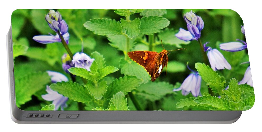 Flowers Portable Battery Charger featuring the photograph Honing in by Merle Grenz