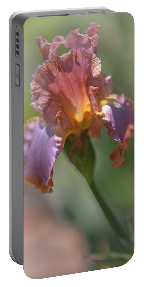 Jenny Rainbow Fine Art Photography Portable Battery Charger featuring the photograph Honky Tonk Rumble. The Beauty of Irises by Jenny Rainbow
