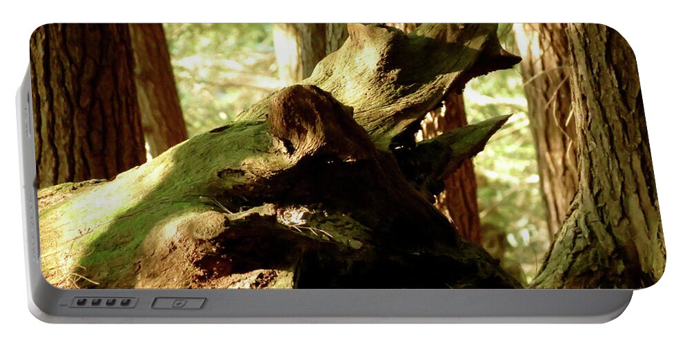 Landscape Portable Battery Charger featuring the photograph Horned Tree by Azthet Photography