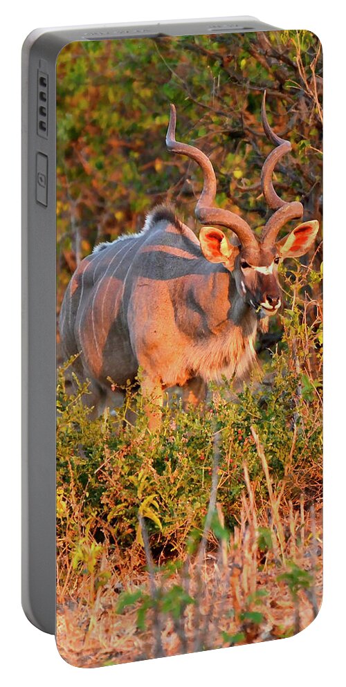 Kudu Portable Battery Charger featuring the photograph Horns Walking by Don Mercer