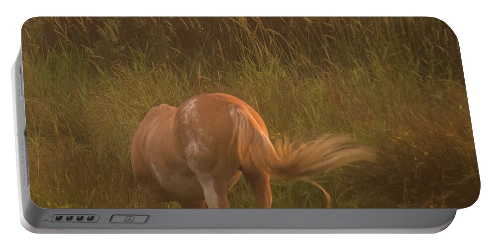 Romantic Portable Battery Charger featuring the photograph Horse 4 by Christy Garavetto