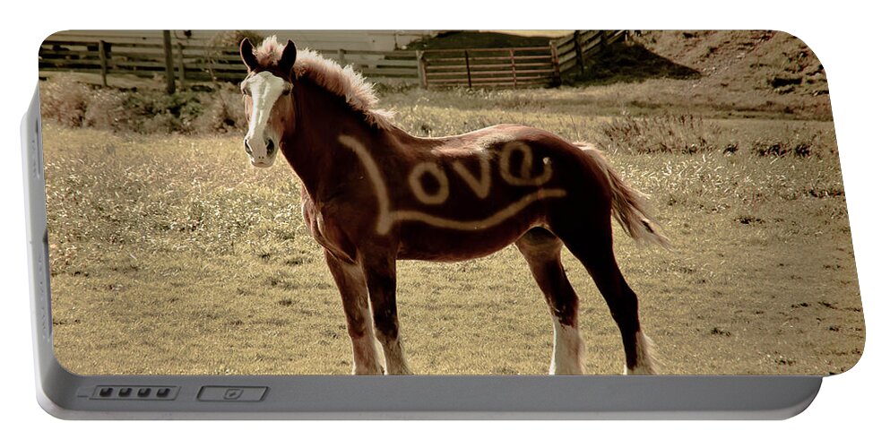 Horse Portable Battery Charger featuring the photograph Horse Love by Trish Tritz