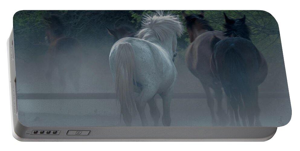 Horse Portable Battery Charger featuring the photograph Horse 8 by Christy Garavetto