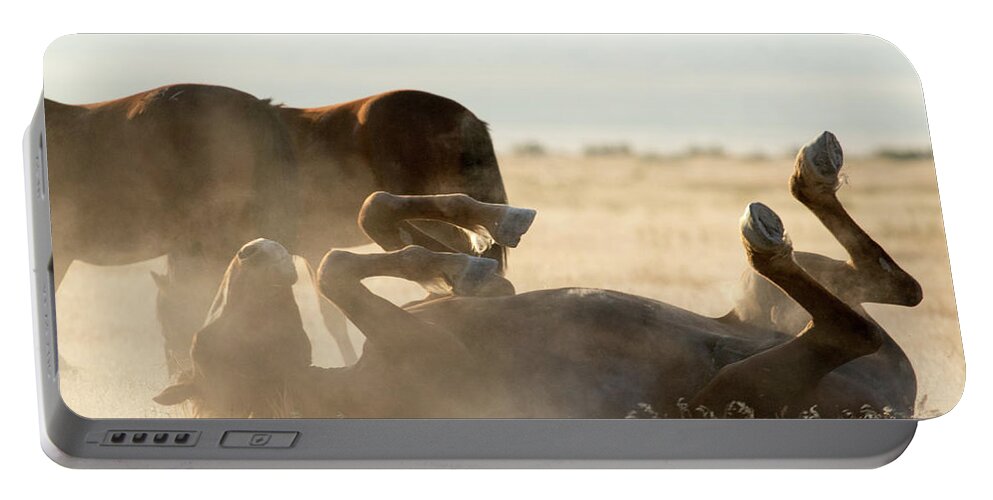 Wild Horse Portable Battery Charger featuring the photograph Horse Playing in Dirt by Wesley Aston