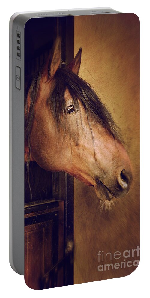Breed Portable Battery Charger featuring the photograph Horse Portrait by Carlos Caetano