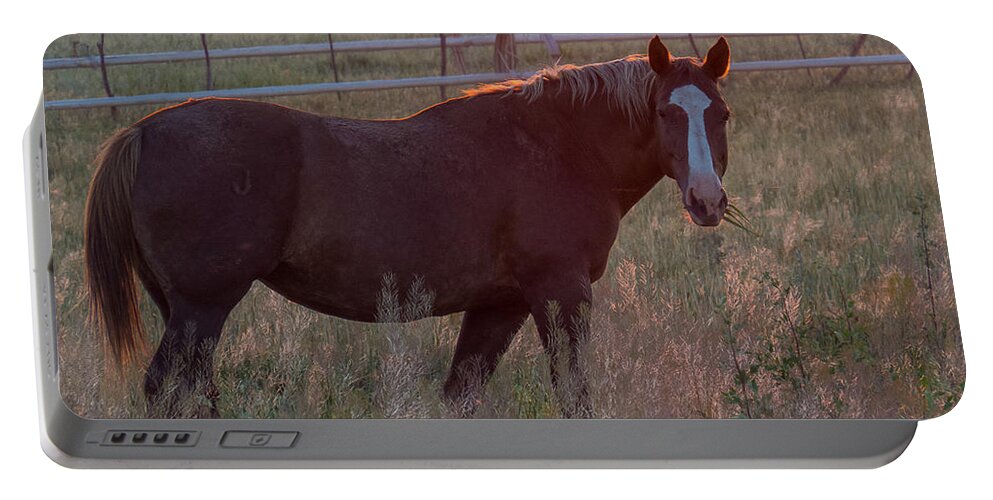 Nature Portable Battery Charger featuring the photograph Horses 2 by Christy Garavetto