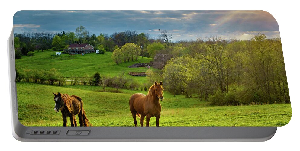 Agriculture Portable Battery Charger featuring the photograph Horses on a pasture in Kentucky by Alexey Stiop