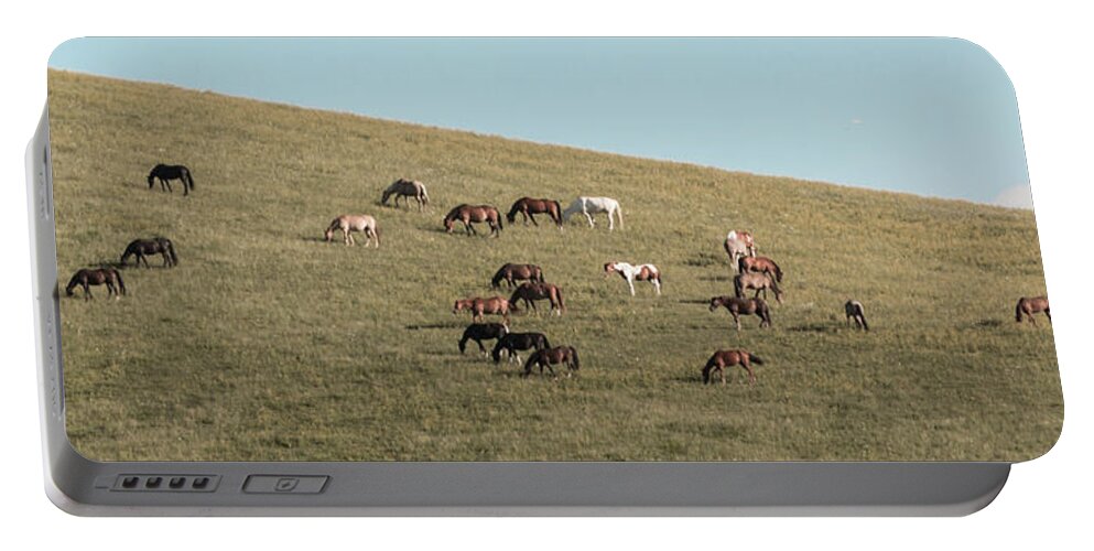 Horses Portable Battery Charger featuring the photograph Horses On The Hill by D K Wall