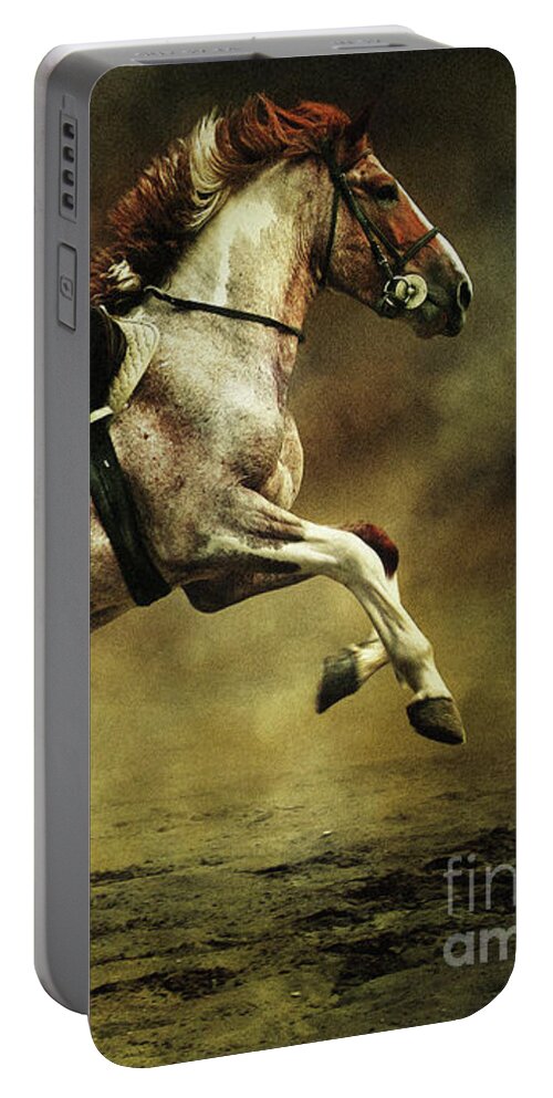 Horse Portable Battery Charger featuring the photograph Horses XI by Dimitar Hristov