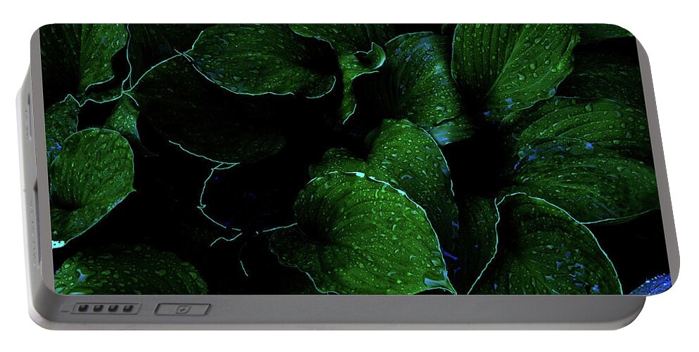 Hosta Succulent Garden Home Perennial Tuber Bulb Water Rain Formation Droplet Drop Morning Dew Fascinating Interesting Dark Background Portable Battery Charger featuring the photograph Hostas After the Rain II by Leon DeVose