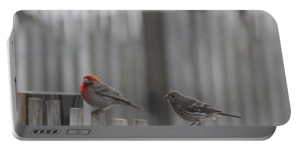 Ornithology Portable Battery Charger featuring the photograph House Finches On The Fence by Robert Banach