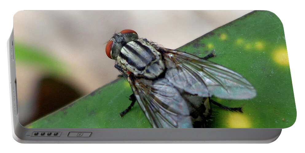 India Portable Battery Charger featuring the photograph House fly on leaf by Misentropy