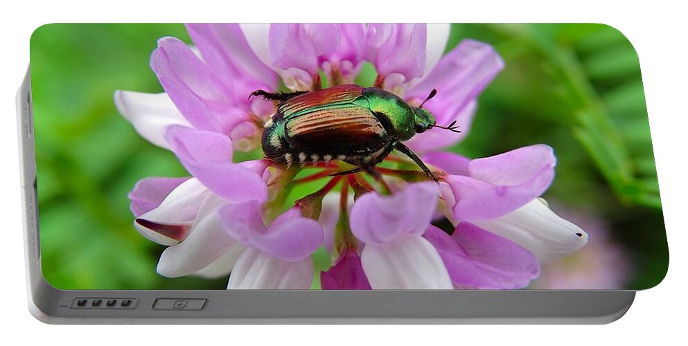 Beetle Portable Battery Charger featuring the photograph House of the Beetle by Lilia S
