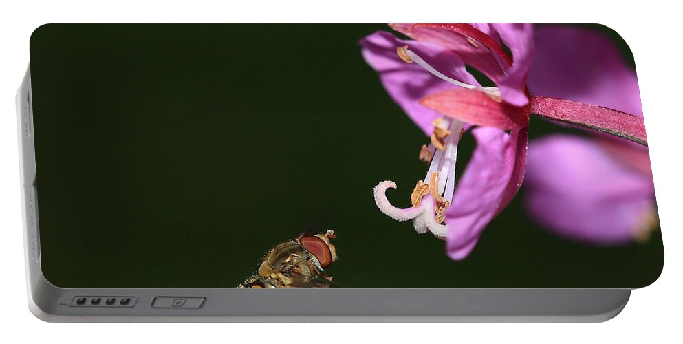 Hoverfly Portable Battery Charger featuring the photograph Hoverfly in flight by Maria Gaellman