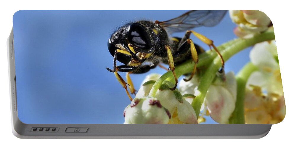 Hoverfly Portable Battery Charger featuring the digital art Hoverfly by Maye Loeser